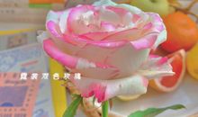 高质量文案句子