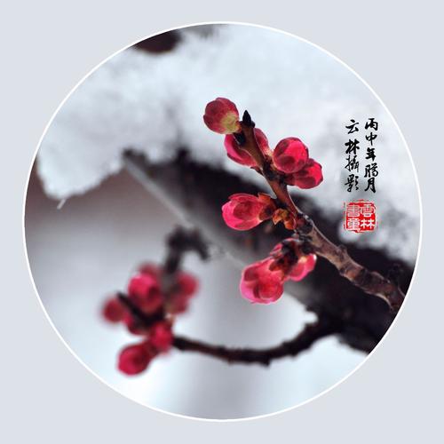 平静,宁静和美好的心情