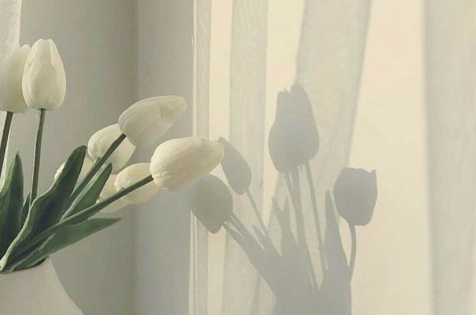 2020年最热门短语2