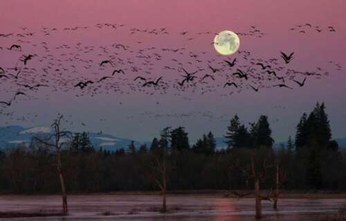 逼真的句子，带给人生命的感觉1