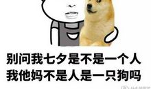 情人节单身狗搞笑段子