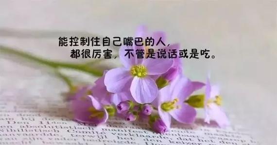 人生情感句子发送给朋友圈