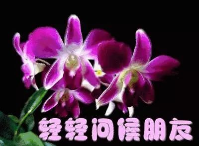 早上给恋人的好消息