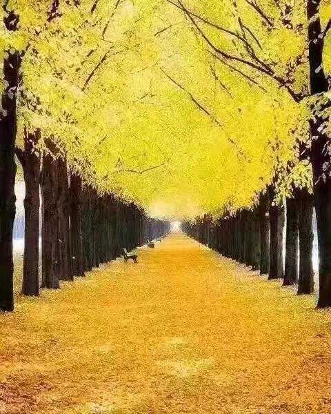 2020年10月再见，11月你好，11月谈你好，谈你好心情2