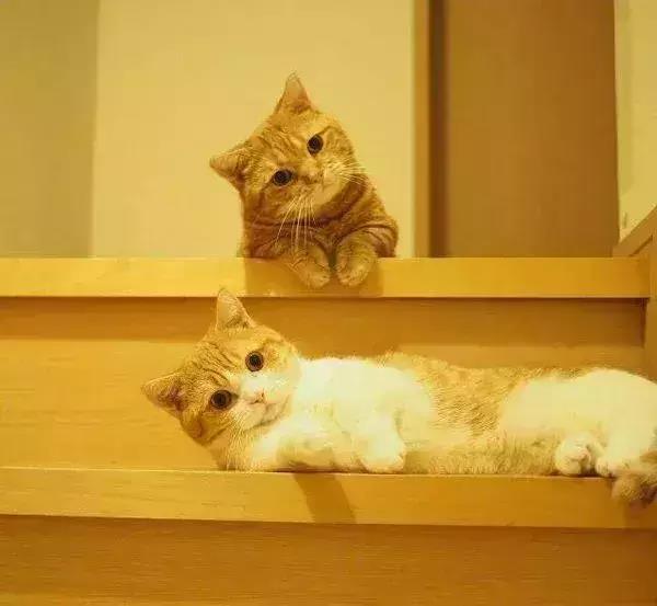 赞美朋友一句话1