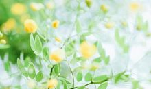 2020上半年结束说说朋友圈文案 下半年你好加油努力励志句子带图