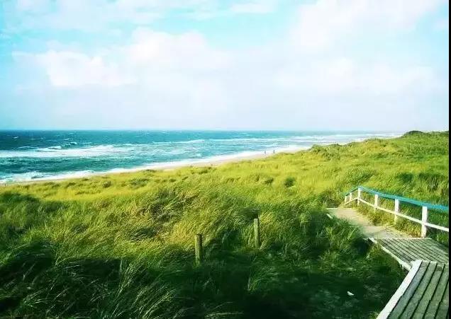 朋友和同事促销问候