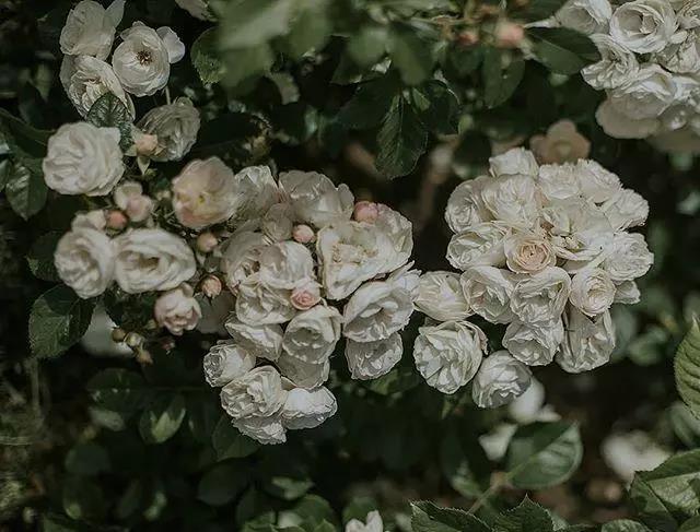 给朋友和同事的促销问候1