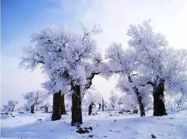 2020年对我自己的阳光励志名言1