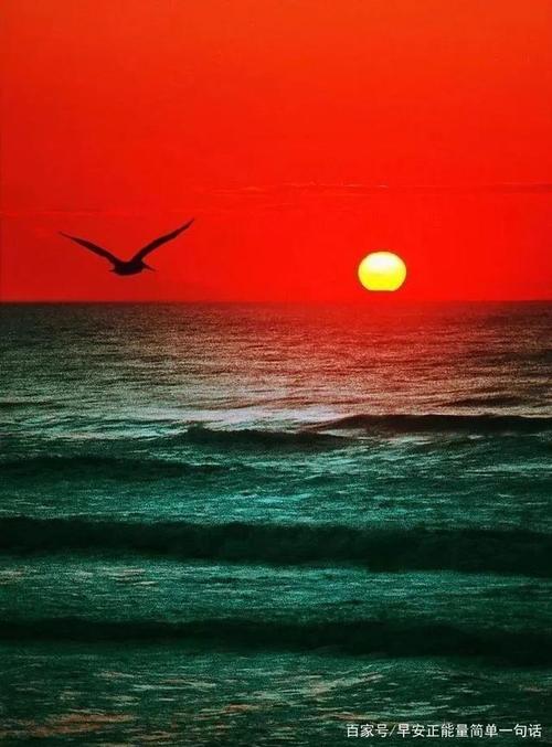 英文每日情绪行情