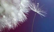 抖音最火后悔的正能量句子