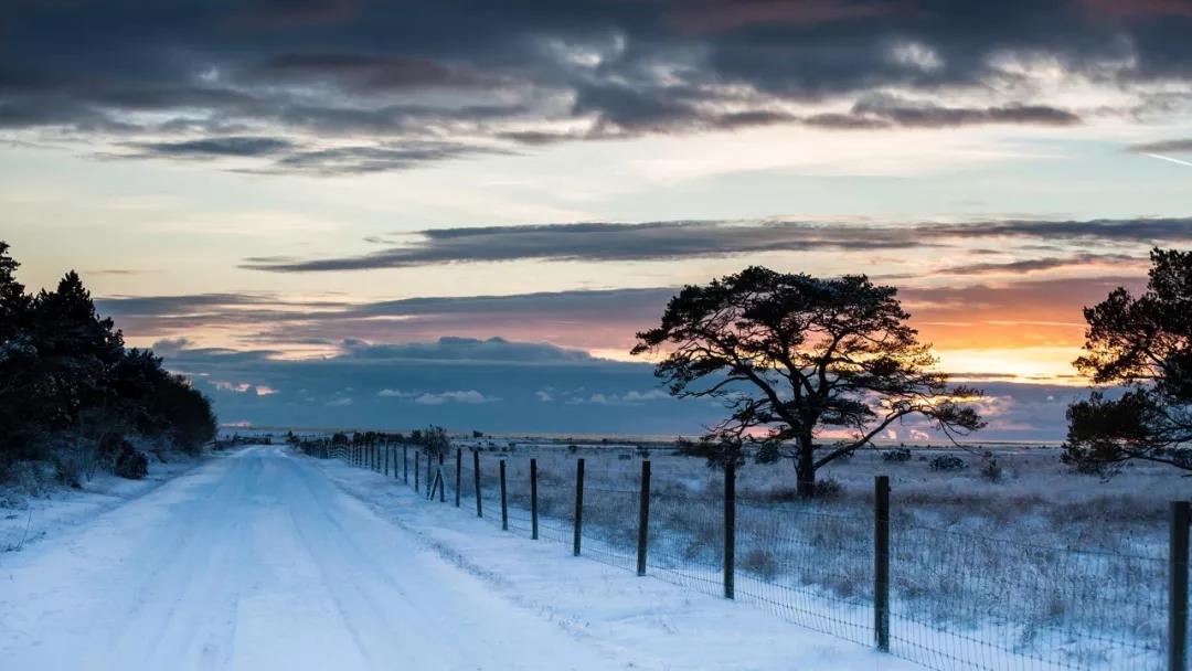 冬天的朋友时刻的句子副本