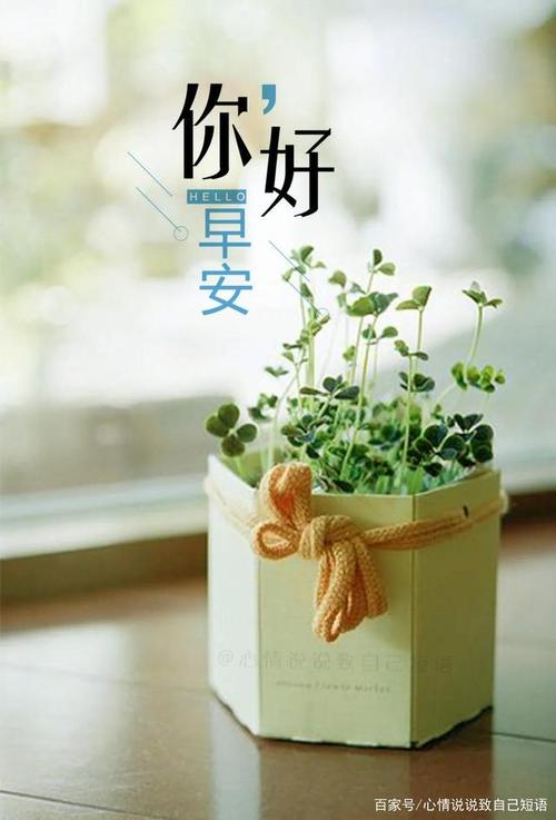 交叉谈论美丽的句子