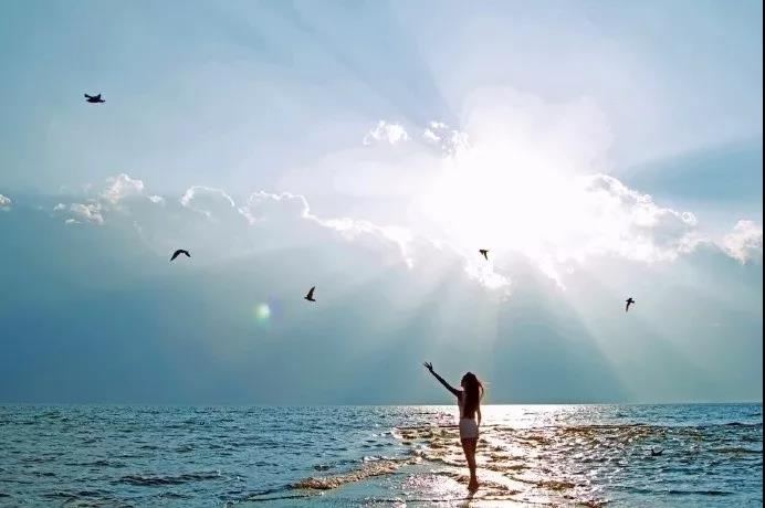 关于想家的句子