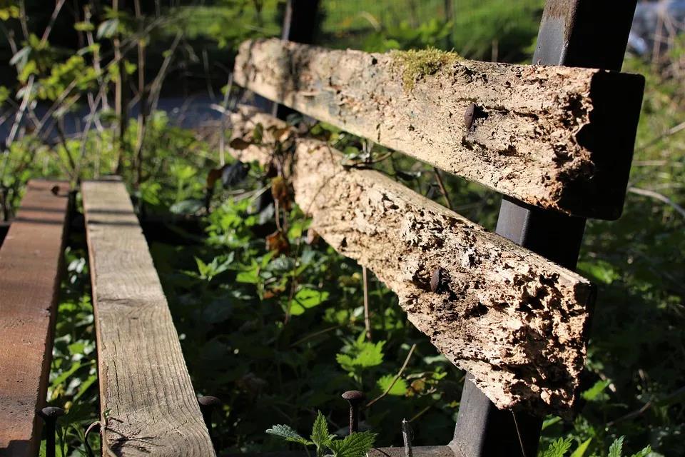 暗恋但不敢承认的句子1