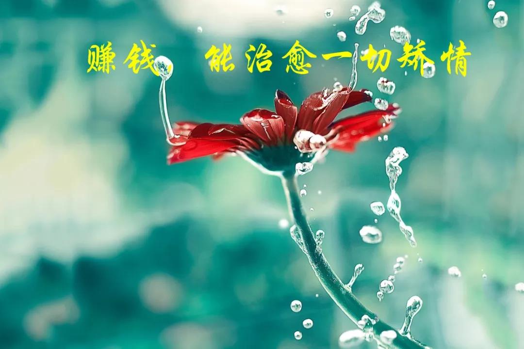 微信非常逼真的生活观，每一句话都渗入人们的心灵