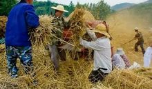 能触动你的充满回忆的句子