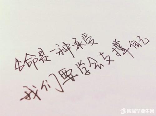 情感签名个性签名收藏