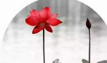 佛经中使人心静的句子, 句句经典让你不再烦躁