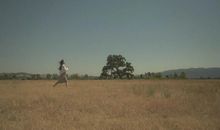 2020年最讽刺的句子