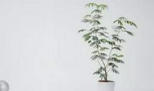 当你孤单的时候，不要一个人抑郁了，该振作起来了