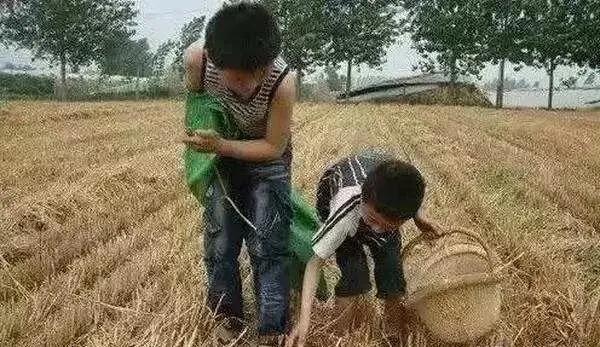 [作文素材]关于勤俭节约的三十句名言2