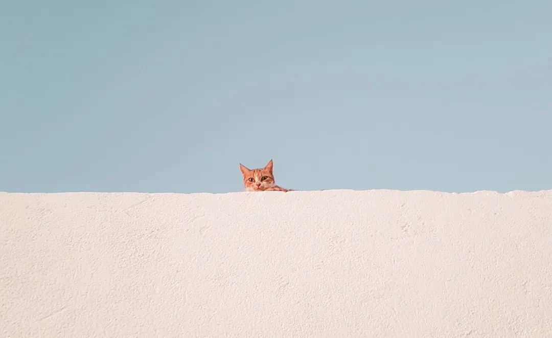 在聊天2中可能使某人死亡的句子