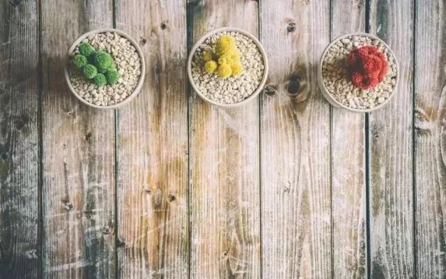 问候微信业务发送给客户的短信