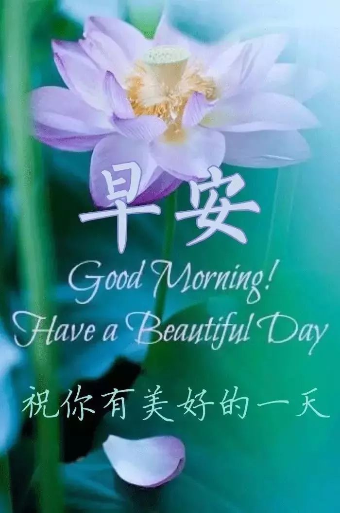 早上好，祝美丽句子2