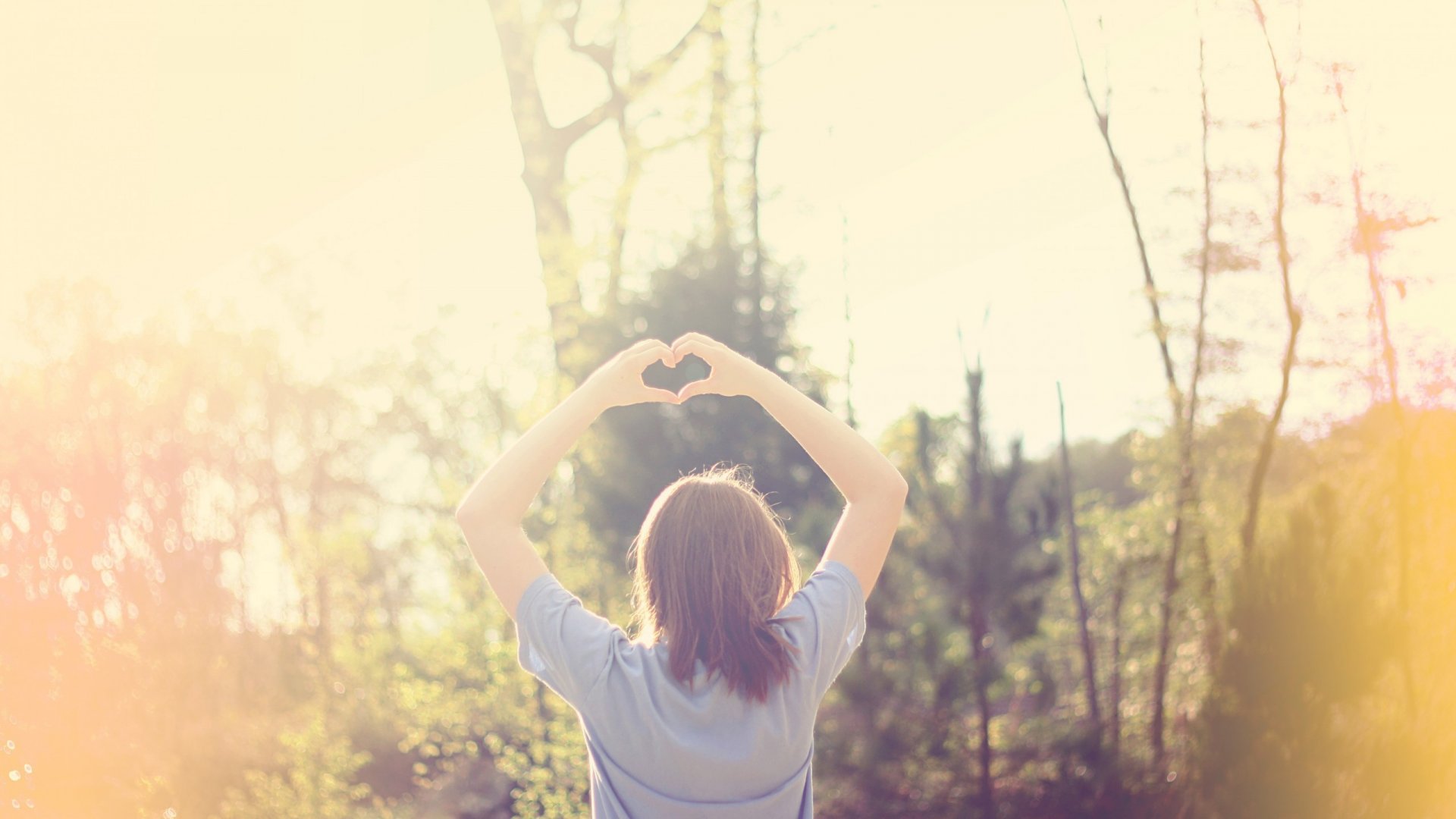 我永远不会后悔见到你