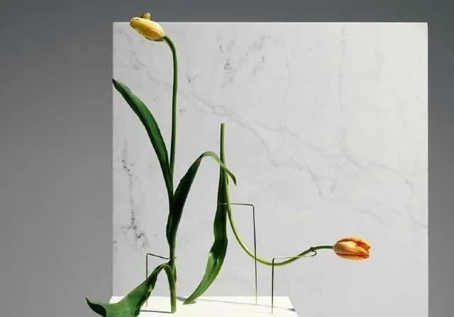 我想一目了然地分享本书中那些美丽而令人惊叹的句子的摘录2