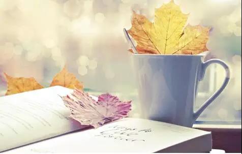 漂亮的句子描述花朵2