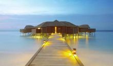 引无数青年竞折腰的尼采经典语录