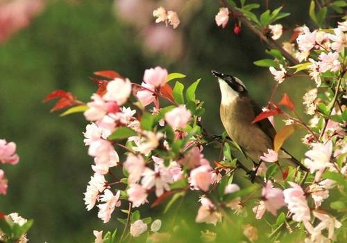 句子适合春季朋友圈