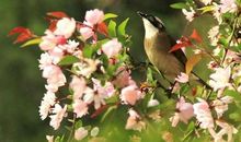 适合春天朋友圈的句子