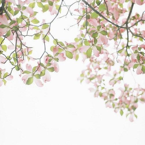 小清新的朋友圈