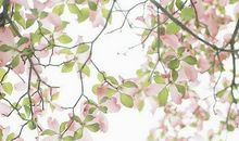 小清新的朋友圈