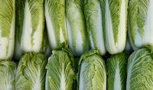 南北气候差异的搞笑