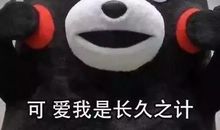 双十一脱单必备表白句子