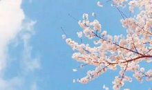 一发就会被秒赞的句子