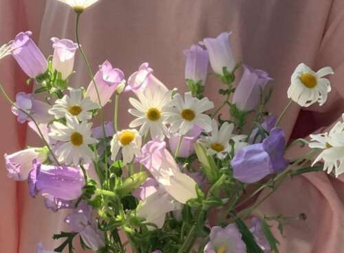 Tik Tok酷句Tik Tok净红色酷句1