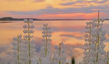 每天保持好心态的心情说说