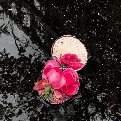 非常干净无忧的短语1