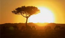 冬天天冷问候朋友的暖心短句