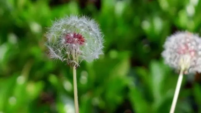 朋友们关于冷却的一句话