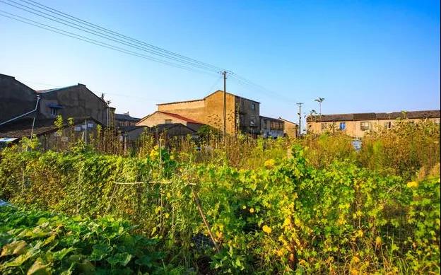 审美句子描述深情