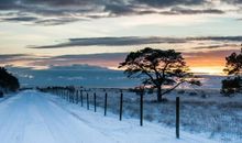 霜降经典文案句子