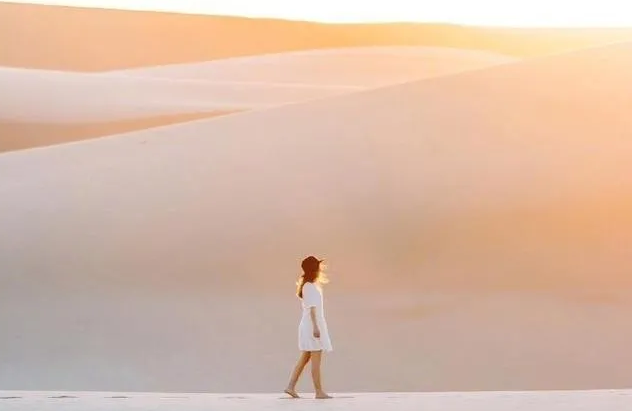 关于世界的优美而温柔的句子1