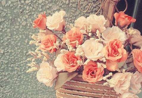 乐观而感恩的生活1