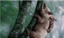 爆笑断句笑到流泪